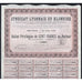 Syndicat Lyonnais du Klondike Societe Anonyme 1905 Stock Certificate