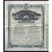 The Buffelsdoorn Estate and Gold Mining Company, Limited Stock Certificate