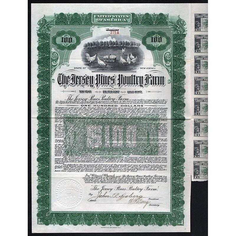 The Jersey Pines Poultry Farm Stock Certificate