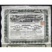 The London & New Zealand Exploration Company, Limited Stock Certificate