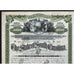 The State of South Carolina Stock Certificate